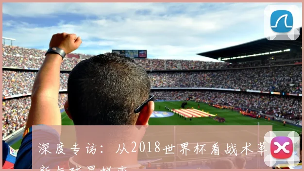 深度专访：从2018世界杯看战术革新与球星蜕变