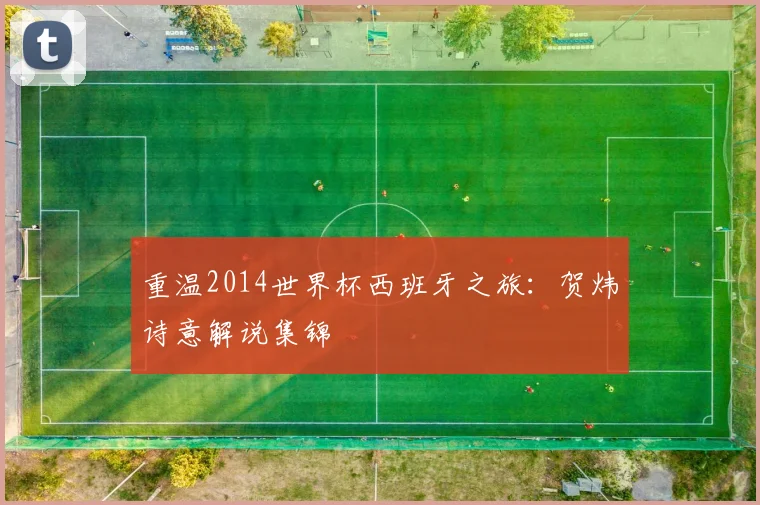 重温2014世界杯西班牙之旅：贺炜诗意解说集锦