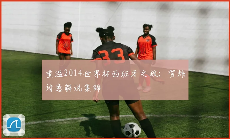 重温2014世界杯西班牙之旅：贺炜诗意解说集锦