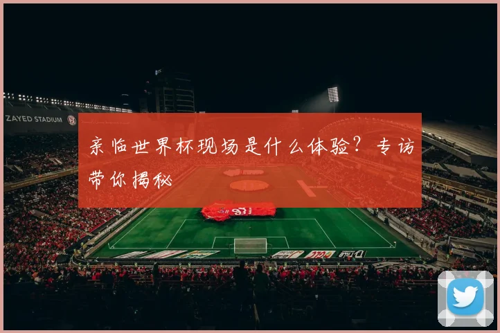 亲临世界杯现场是什么体验?专访带你揭秘