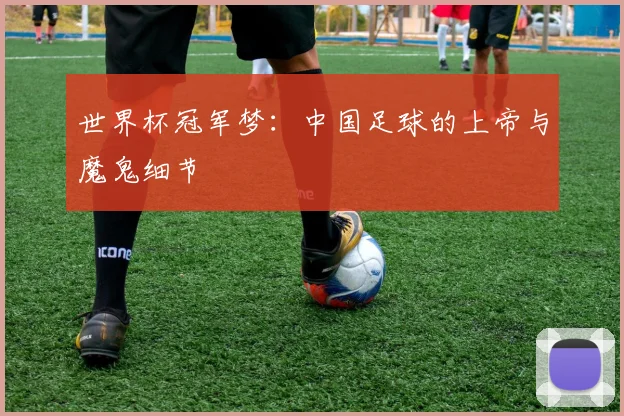 世界杯冠军梦：中国足球的上帝与魔鬼细节
