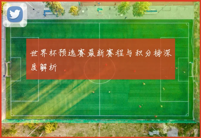 世界杯预选赛最新赛程与积分榜深度解析